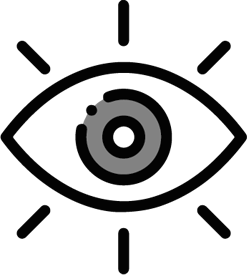 Our Vision